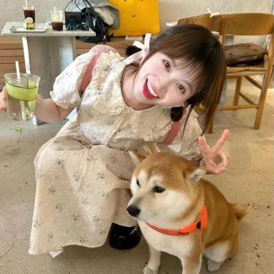 我的情敌女婿